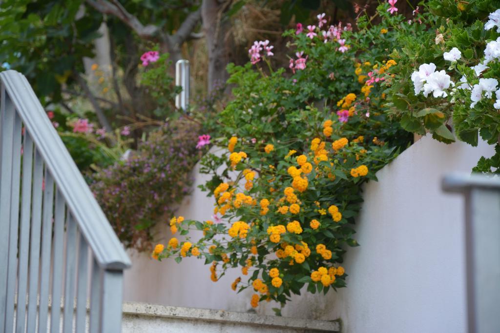باولا B&B La Casa Rossa المظهر الخارجي الصورة